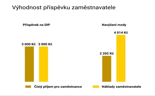 Daňové výhody DIP pro zaměstnance a majitele firem
